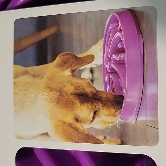 Slow Dog feeder bowl - Picture 3 of 6